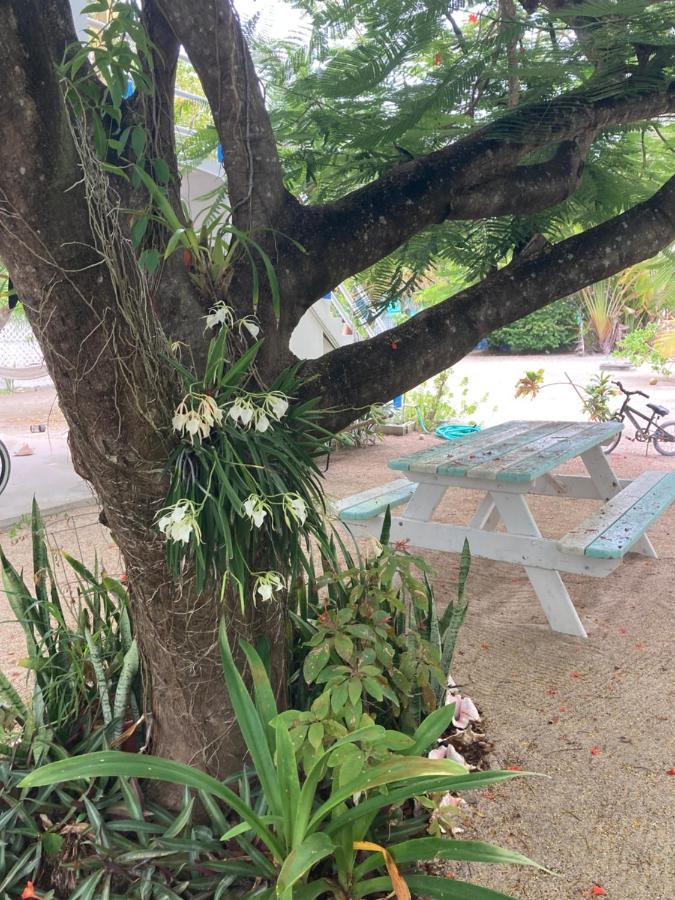 Jaguar Morning Star Hotel Caye Caulker Ngoại thất bức ảnh