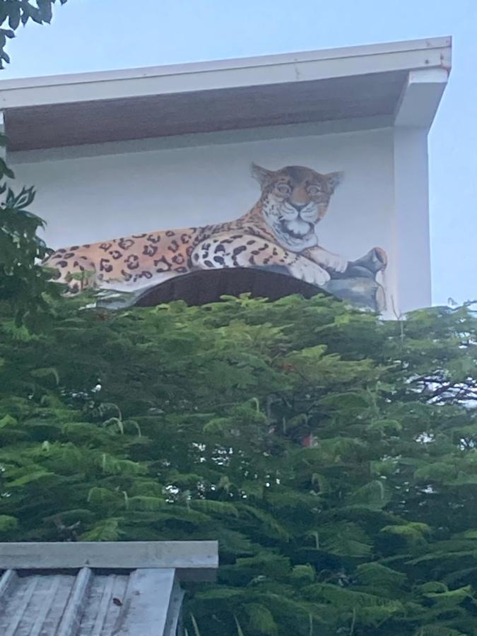 Jaguar Morning Star Hotel Caye Caulker Ngoại thất bức ảnh