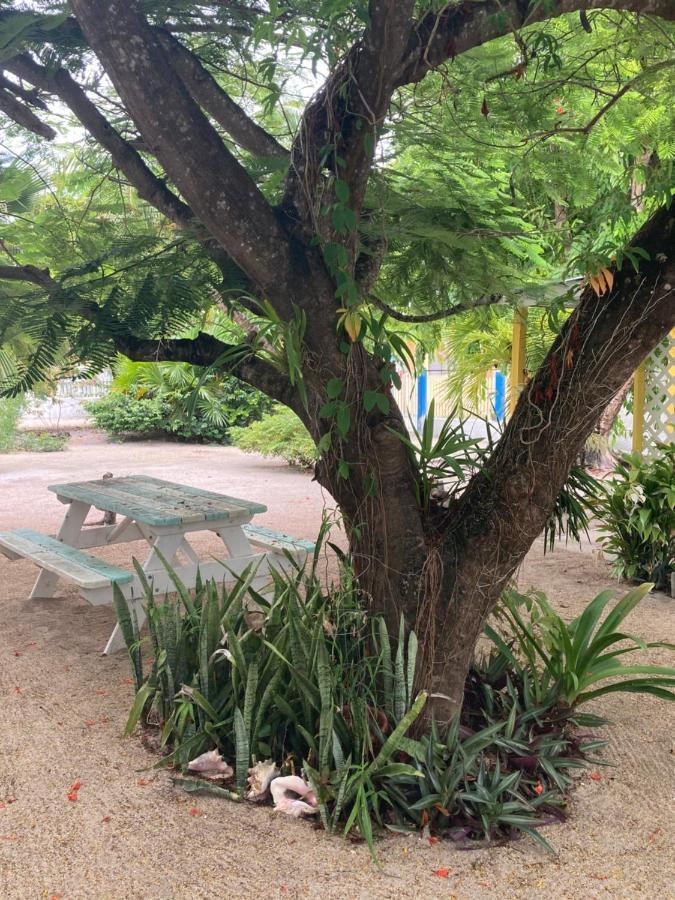 Jaguar Morning Star Hotel Caye Caulker Ngoại thất bức ảnh